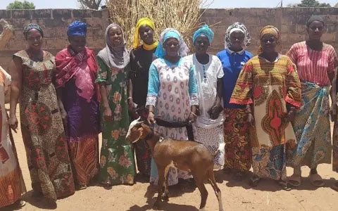 We sponsored a goat