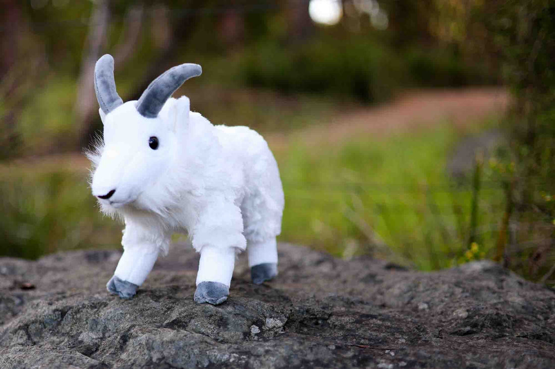 How to send your friend a goat